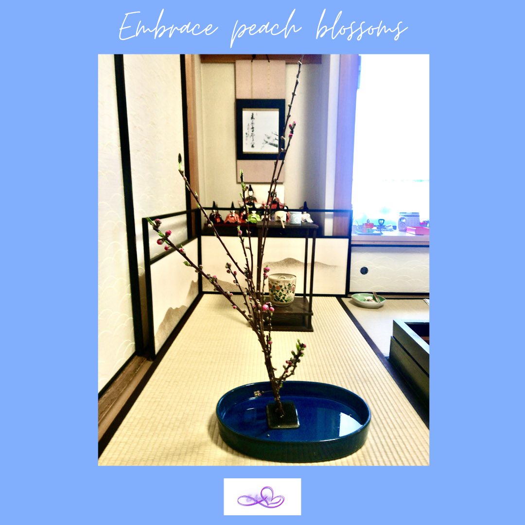 emfinitus's tweet photo. Embrace peach
桃を飾って💗
#Emfinitus #WaCulture #ikebana #一生本流 #wayoftea #matcha #meditation #loveyourself https://t.co/wbASgjvHIv