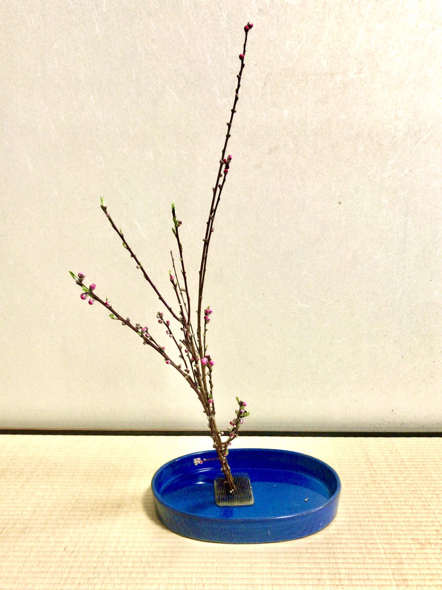 emfinitus's tweet photo. Embrace peach
桃を飾って💗
#Emfinitus #WaCulture #ikebana #一生本流 #wayoftea #matcha #meditation #loveyourself https://t.co/wbASgjvHIv