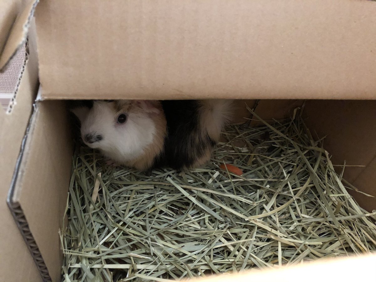 みるく＆ちょこ tweet media