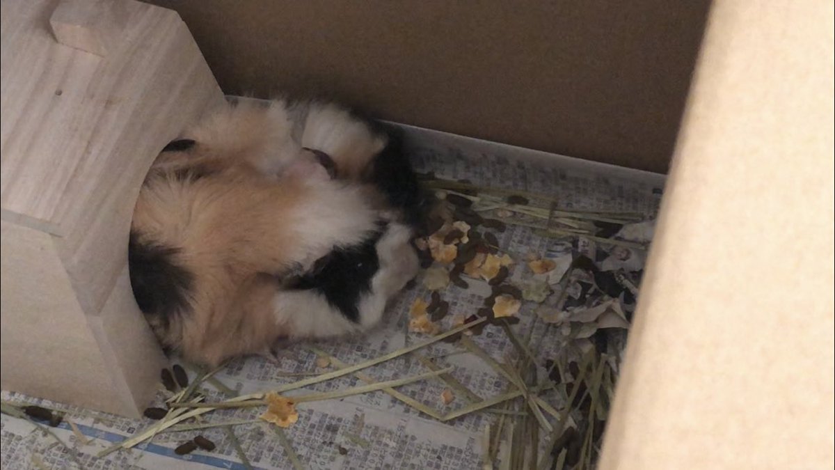 みるく＆ちょこ tweet media