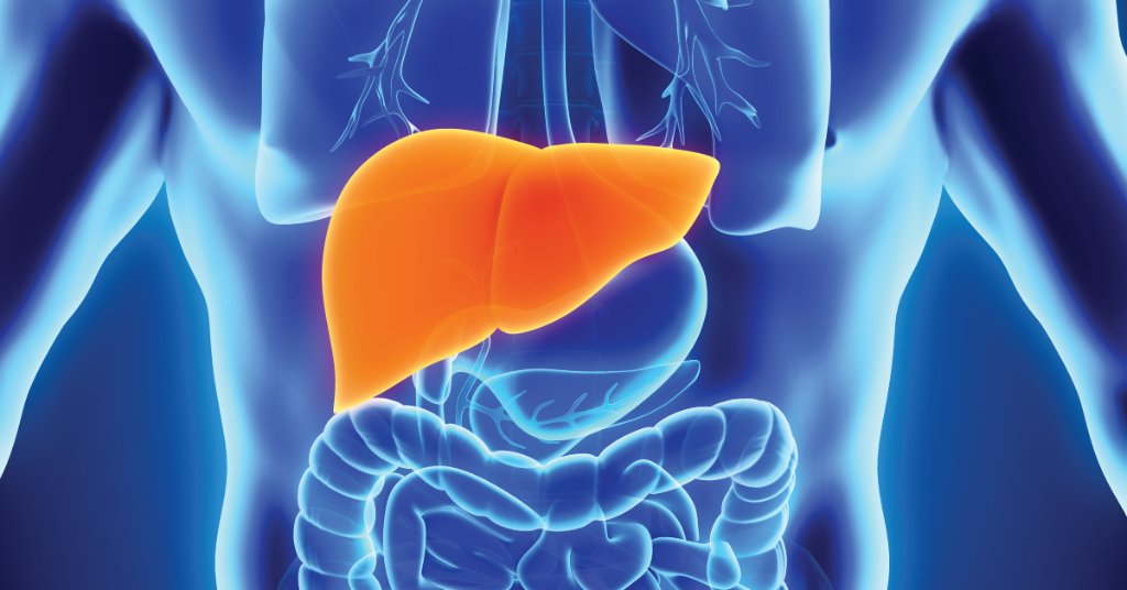 WebMD's tweet photo. Alcohol and acetaminophen are well-known liver dangers, but what else can be harmful? Some of these factors may surprise you. https://t.co/hEGvb4KoBk https://t.co/efZY3VTlef