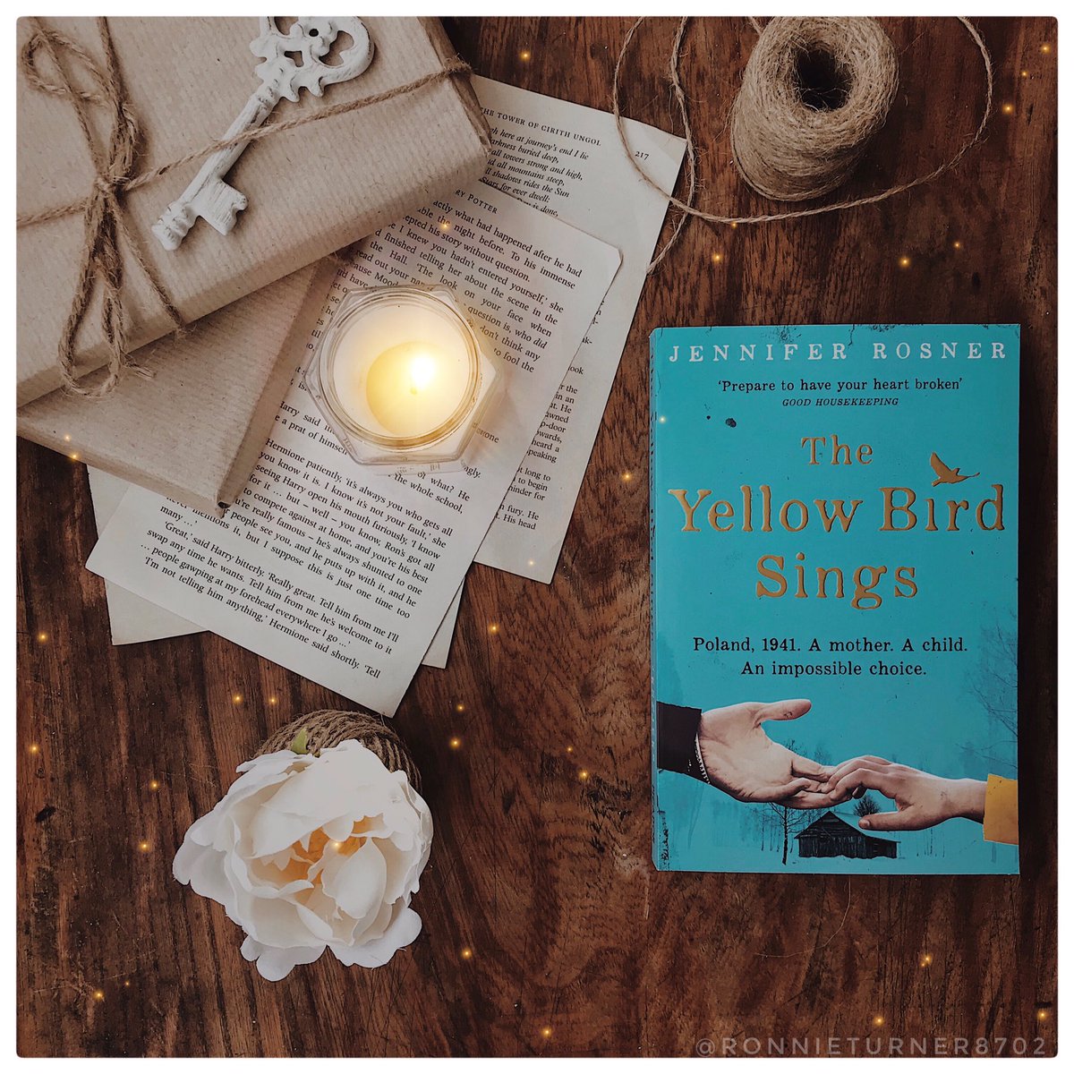 Thank you so much @siobhanslatt_ and <a href="/picadorbooks/">Picador Books</a> for #TheYellowBirdSings by <a href="/jen_rosner/">Jennifer Rosner</a> 💙💙 Heard so many wonderful things about this book 💙💙

💙💙 Out 18 March in gorgeous paperback 💙💙