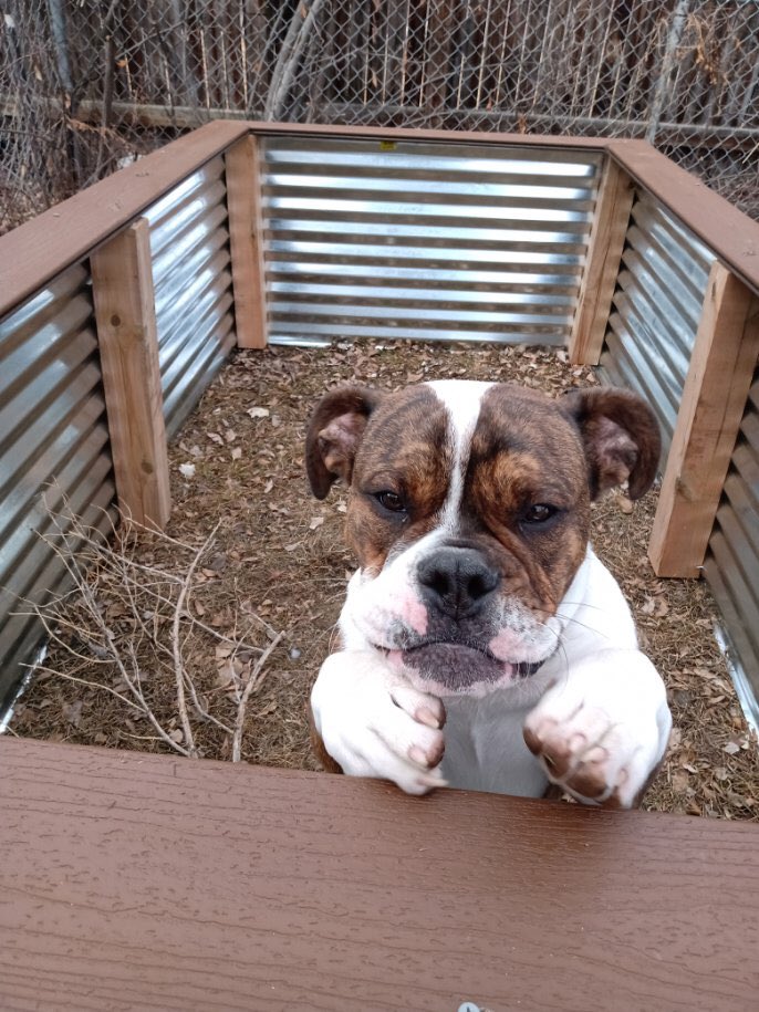 UrbanBulldog's tweet image. Is this our new hot tub?!?