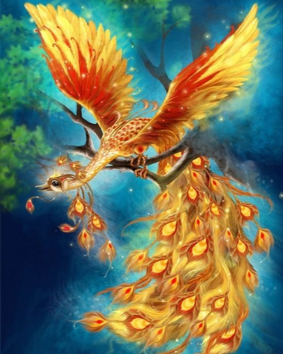 IanWings's tweet photo. Transformation can be subtle and mild, or dramatic like the fiery pheonix. Take comort: even when life appears to end it is just a transformation to the next phase. https://t.co/PvrDwEI5Kp