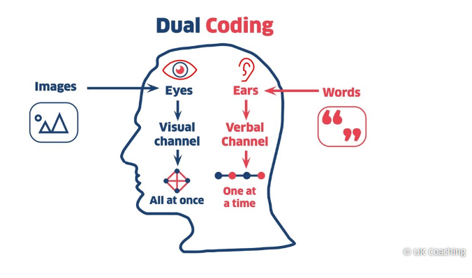 markusscotrates's tweet photo. Dual coding: 🎨🎧

Using verbal and visual information can help you learn more effectively 📃🖼️

Find out more (subscriber guide)👇

#Learn2Learn

https://t.co/07K10Wz9DC https://t.co/6dh1QywqLG