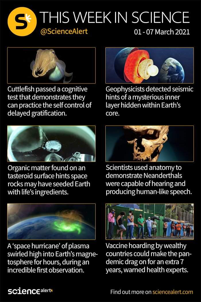 Hodgson Science Dept (@hodgsonsci) on Twitter photo 