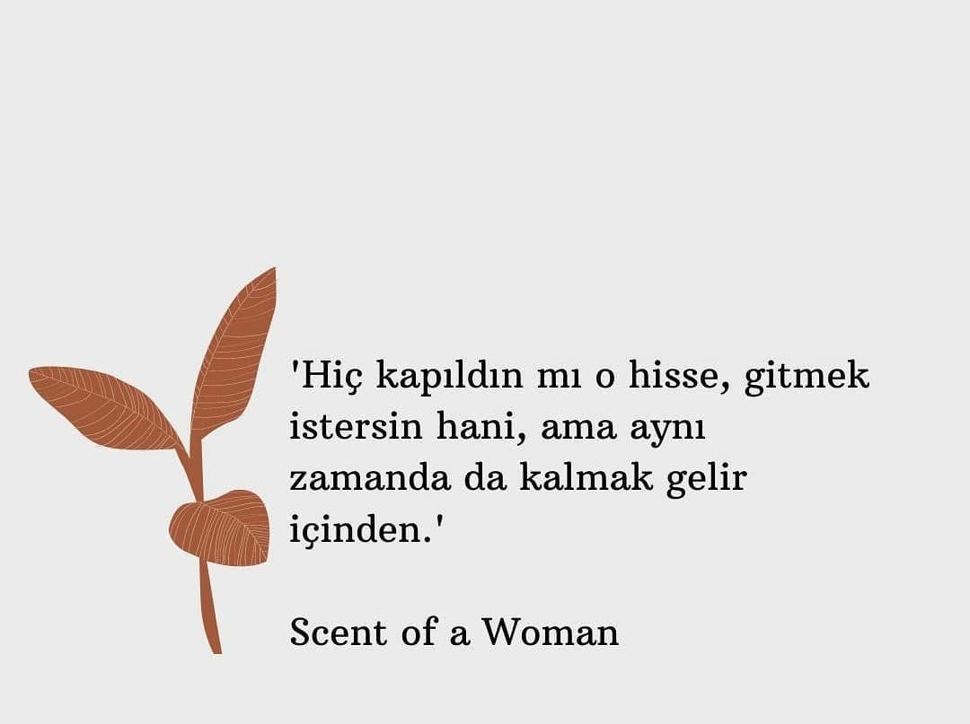 Esra (@toreesra) on Twitter photo 