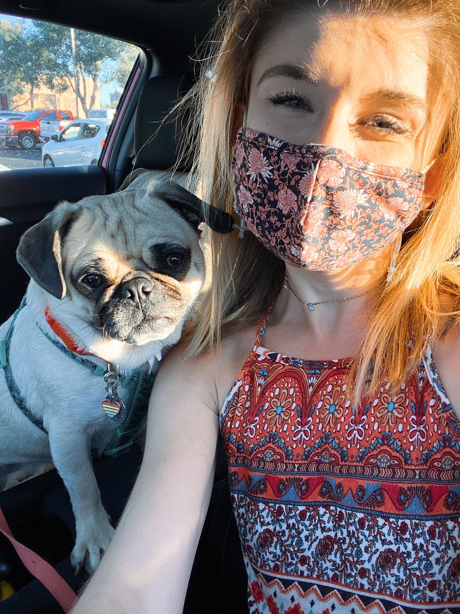 ItsMatchaThePug's tweet photo. Happy International Women’s Day! ✨ love being independent ladies with my mama 💛 #InternationalWomensDay #MatchaThePug https://t.co/uxS1qPFTNB