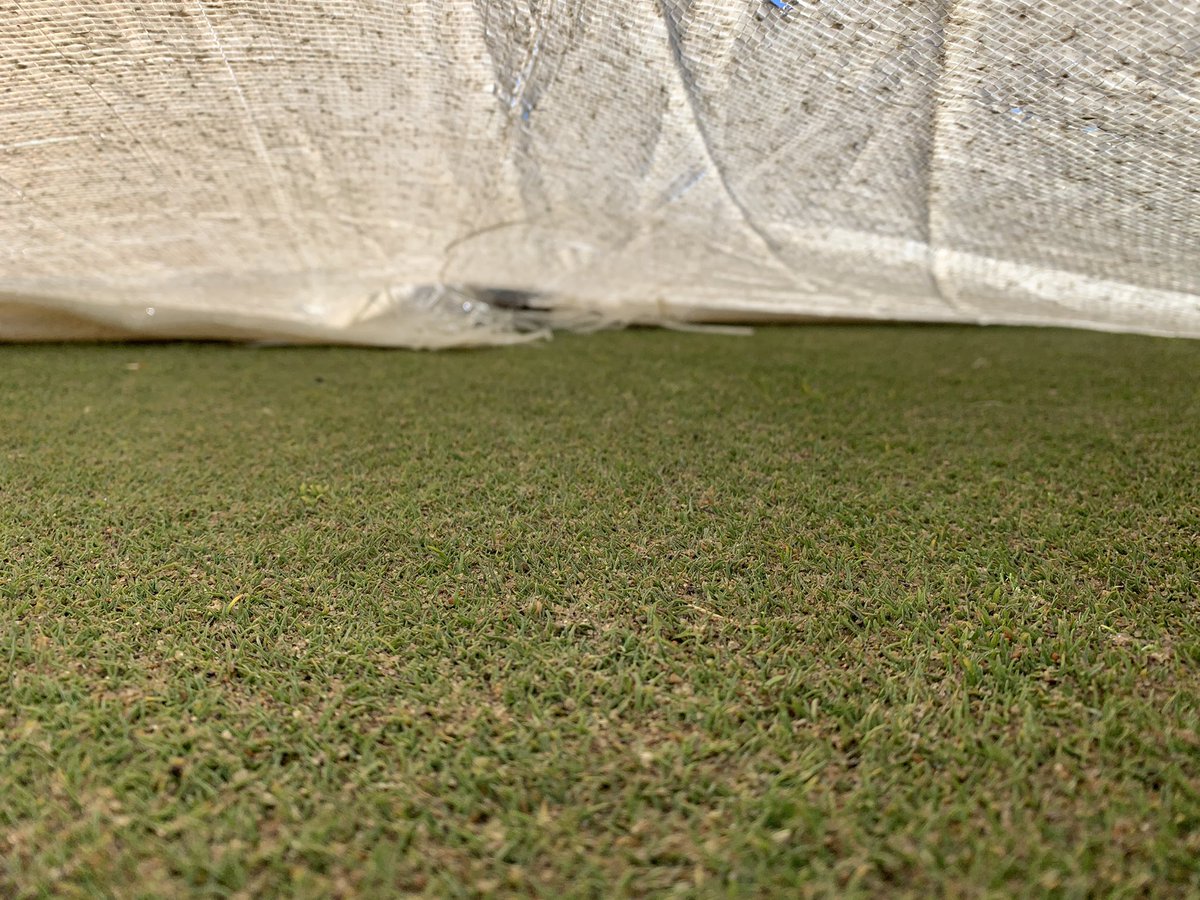 Spring is around the corner! Even though some holes look clear of snow, we still have lots out here. First peak under tarps where I can see, looks good! <a href="/CarstairsGolf/">Carstairs Golf</a>