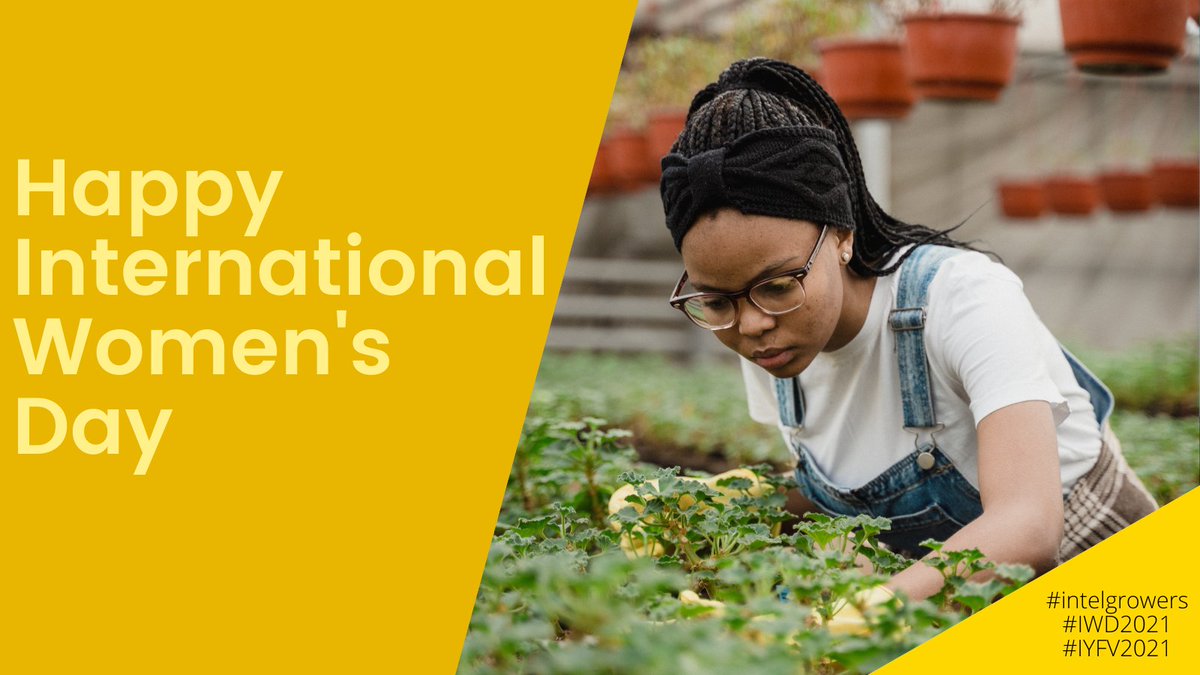 IntelGrowers's tweet image. "Ending gender inequity is not just the right thing to do, it is the smart thing to do. [...]Giving women farmers access to the resources they need would lift up to 150 million people out of hunger.”
-E. Cousin, former E.D., World Food Programme
#intelgrowers #IWD2021  #IYFV2021