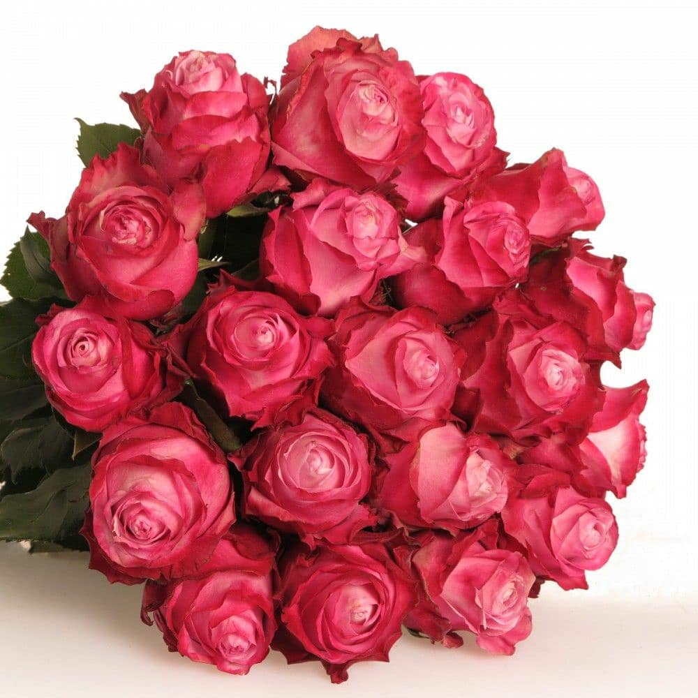 InesWeb's tweet image. Happy Woman's Day 🌹🍀🌺🌼🌸🌹🌻🌷♥️😘
#Weltfrauentag #WomansDay #HappyWomansDay #KieferSutherland