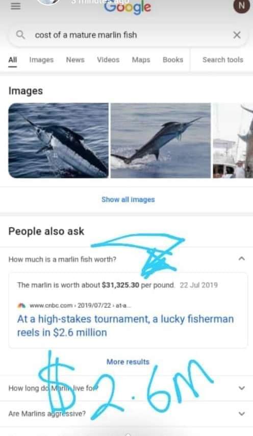 FotoNugget's tweet image. Man reportedly caught Blue marlin fish worth $2.6 million in Warri and ate it with his village people.

🤦‍♂️ 💔 😭