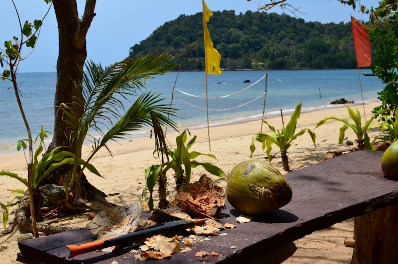 DavidLuekens's tweet image. 🌴 When it comes to travel, sometimes it is the simple things. A tree-backed beach. A chat with an elder. A well-kept garden or a thatch-roofed hut. This photo-packed story on Ko Jum / Pu focuses on the details.
thaiislandtimes.substack.com/p/ko-jum-pu-be…