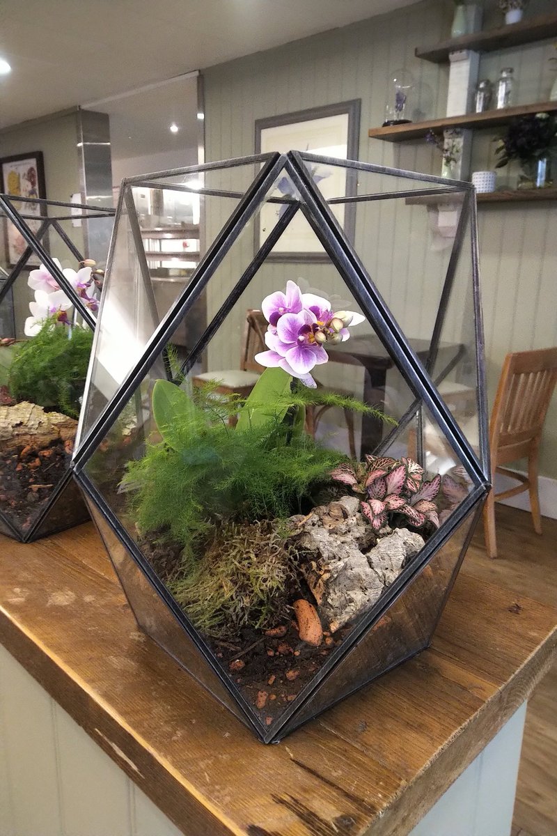 Edward Webb tweet media