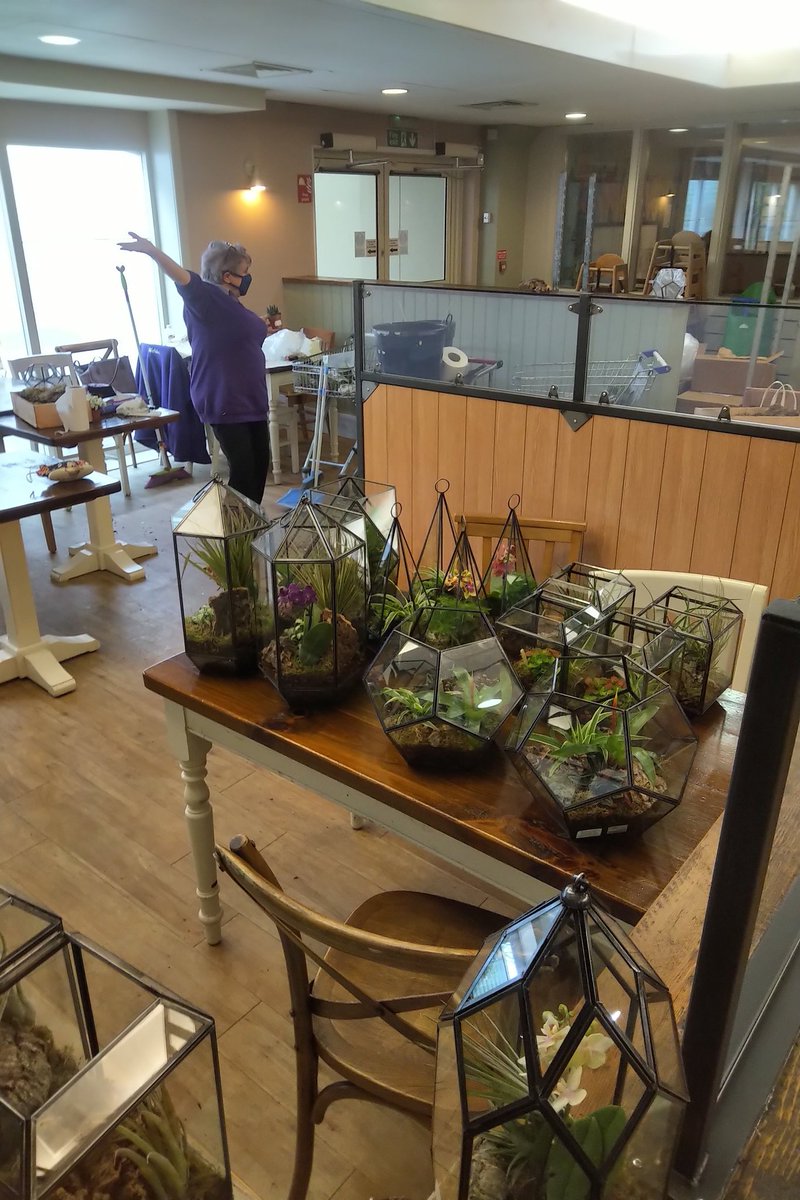 Edward Webb tweet media