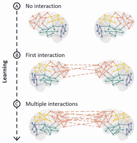 Brains that Fire Together Wire Together: Interbrain Plasticity Underlies Learning in Social Interactions journals.sagepub.com/doi/full/10.11…