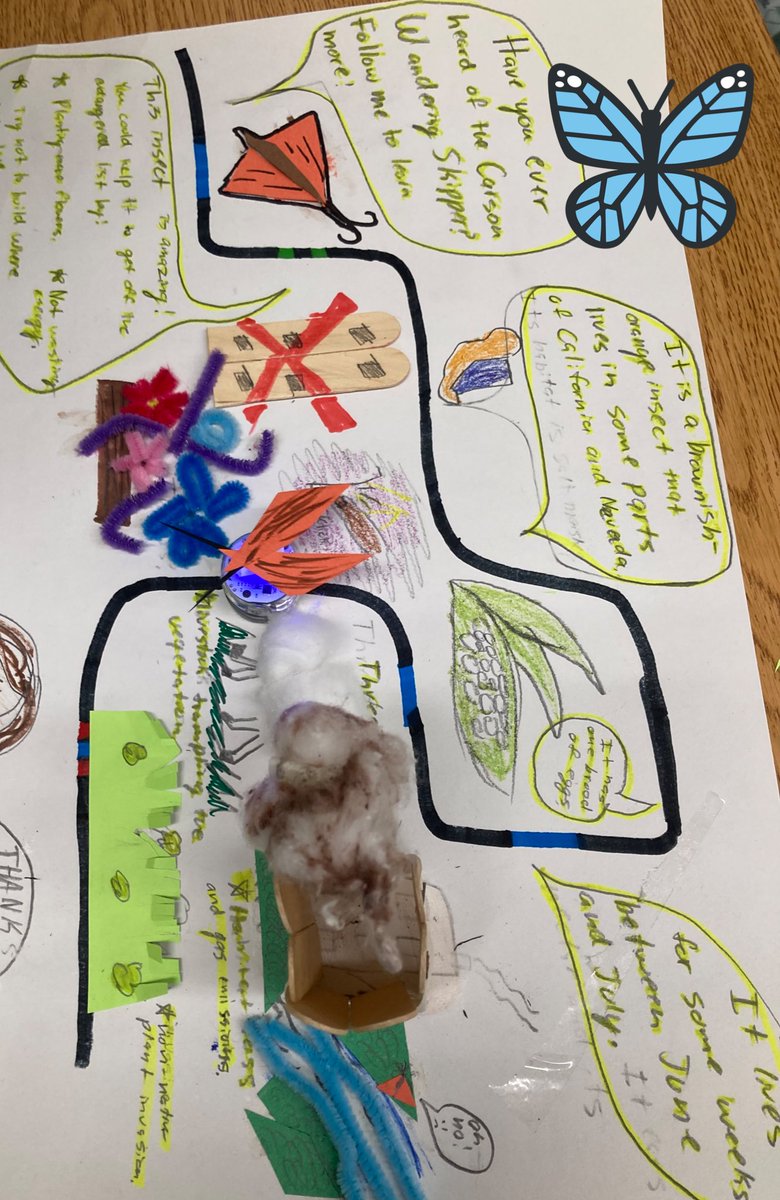 ECE_STEPS's tweet photo. @Ozobot through paths to retell about our native endangered species. #GATE #STEAM https://t.co/TG9pPnUbc6