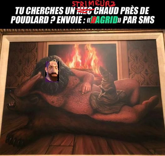 dagridlesac's tweet photo. J’ai vraiment des viewers bourrés de talent!! 
#TeamSac #Dagrid #Hagrid #twitchfr https://t.co/xR2BKdQbAZ