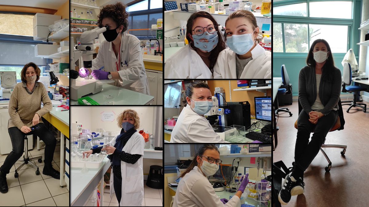 The #BIOM would like to congratulate and thank all women this March 8 for all they have given and continue to give to the world of science. #genderequality