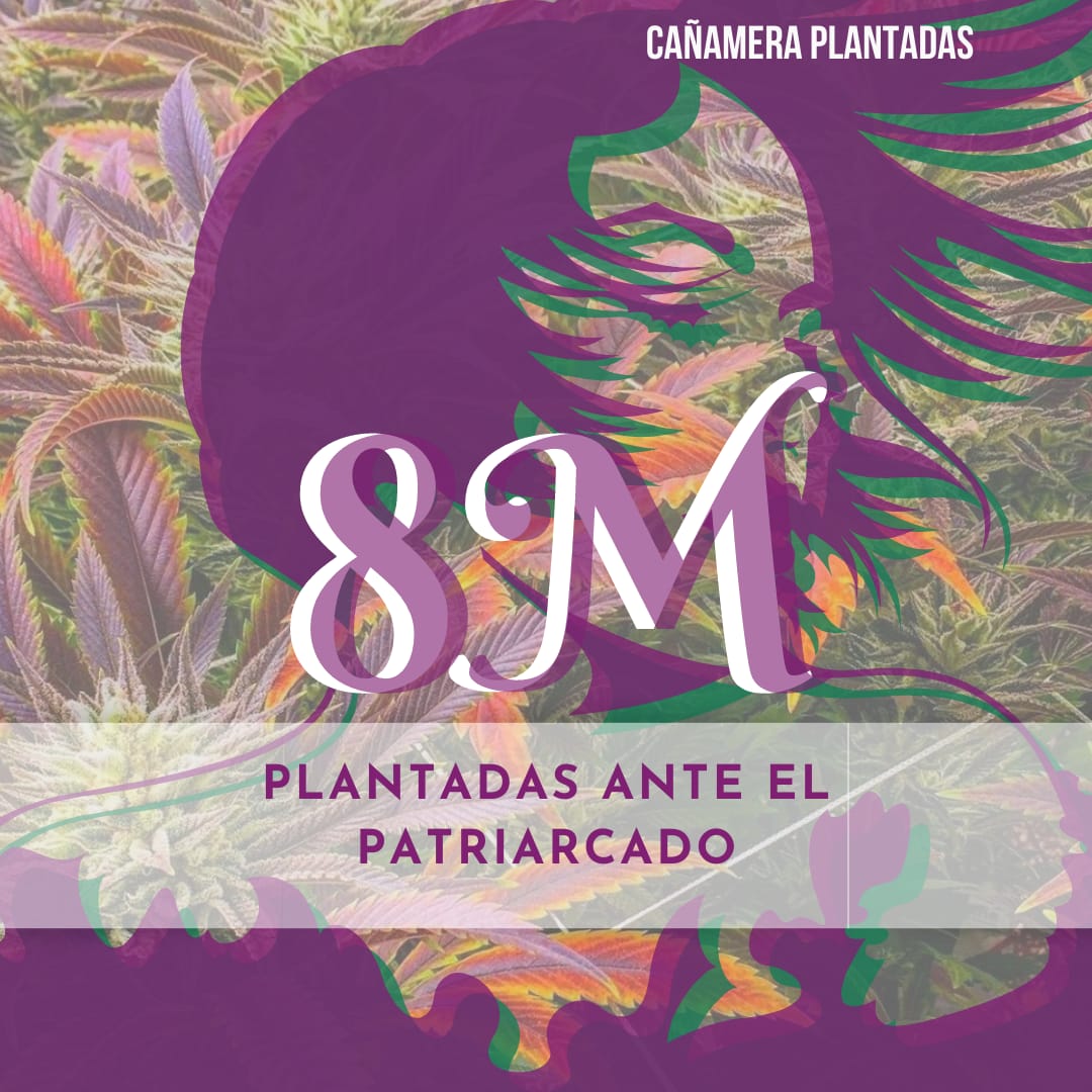 PCCanamera's tweet photo. 🙋🏻‍♀️Hoy nos plantaremos 🌱 en las calles, en las plazas, en las ventanas, en las redes... inundándolas de morado 💜💪🏽💟✊🏽 .
.
💪 Plantadas.
.
👉 hasta el final ,
 de la violencia patriarcal. 🌱💜
.
#8M #plantadas #cooperativafeminista #ecofeminismo #cannabis
#cañamo https://t.co/ue0qCmKlN3