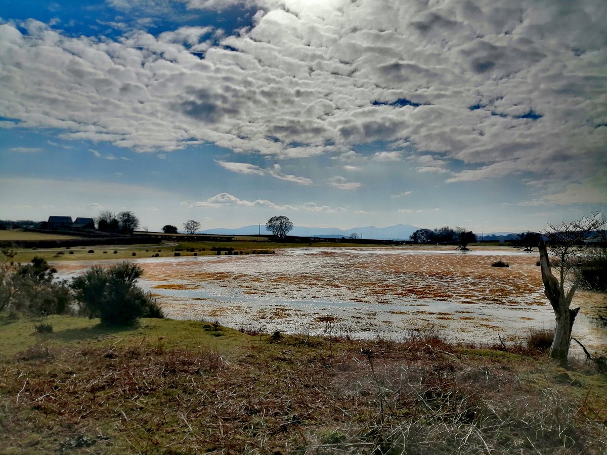 Martin Whittaker tweet media