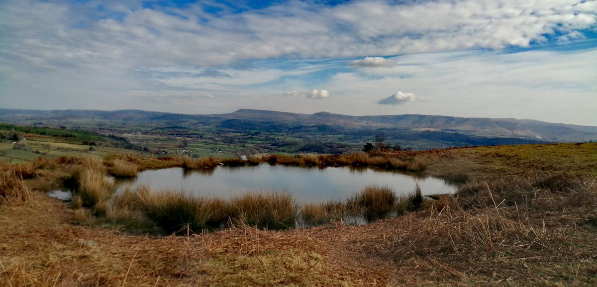 Martin Whittaker (@smoggiewalks) on Twitter photo Pools of Brechfa Common #explorelocal #discoverlocal #lesserwalkedpaths <a href="/DerekTheWeather/">Derek Brockway - weatherman</a> <a href="/OrdnanceSurvey/">Ordnance Survey</a> <a href="/MidWalesMyWay/">Mid Wales My Way</a> <a href="/LiveGeocaching/">Geocaching Live</a> Pools of Brechfa Common #explorelocal #discoverlocal #lesserwalkedpaths <a href="/DerekTheWeather/">Derek Brockway - weatherman</a> <a href="/OrdnanceSurvey/">Ordnance Survey</a> <a href="/MidWalesMyWay/">Mid Wales My Way</a> <a href="/LiveGeocaching/">Geocaching Live</a>