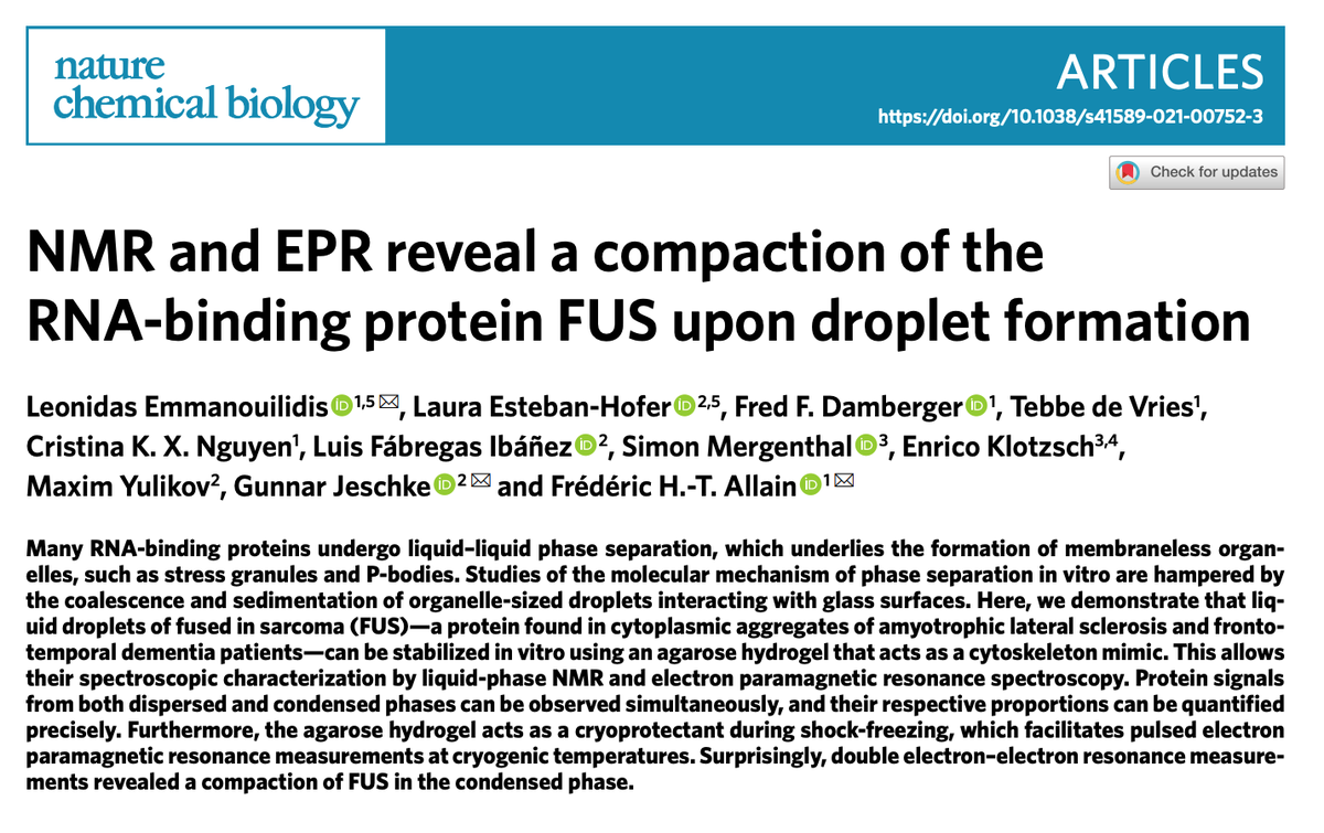 TweetALSMND's tweet photo. Looking to study the role of #LLPS in #ALS #MND in vitro under conditions that are closer physiologically  to #StressGranules?

@nchembio NMR and EPR reveal a compaction of the
RNA-binding protein FUS upon droplet formation https://t.co/MdiWmrbXjg https://t.co/59hGk0bbAA