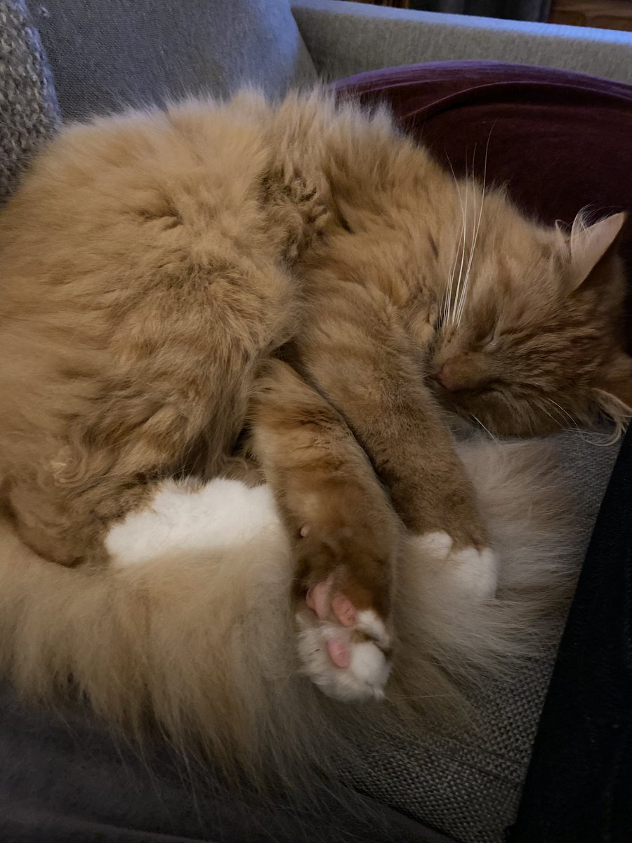 Cinemaworks tweet media