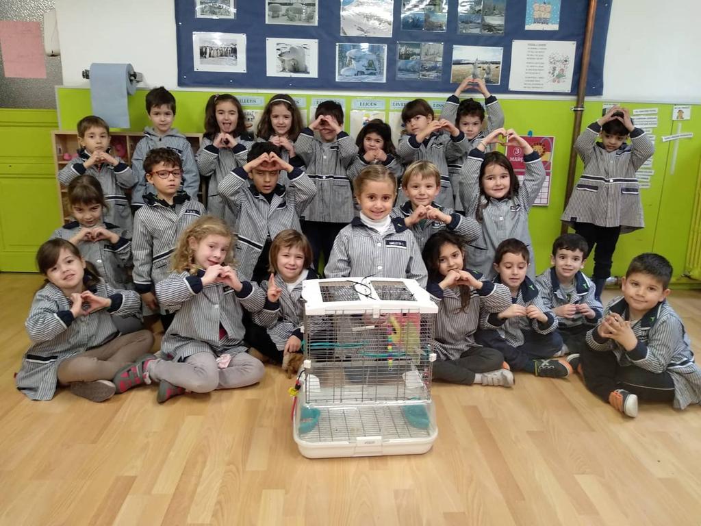 epiasabadell's tweet photo. EL CURRITO ENS VISITA!
A partir d'un conte que ens van explicar a classe, una nena de P5 va tenir la idea de portar-nos el Currito, la seva mascota. Hem pogut observar com és i com tenir-ne cura. Ara ja sabem millor com és un ocell.
#P5INFANTILPIASABADELL
#INFANTILPIASABADELL https://t.co/5bacmVaEy7