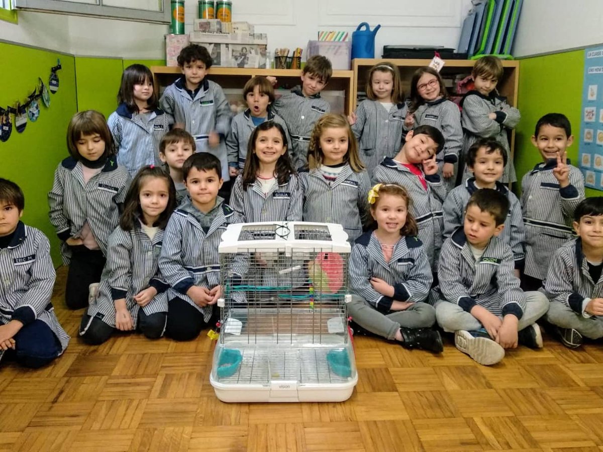 epiasabadell's tweet photo. EL CURRITO ENS VISITA!
A partir d'un conte que ens van explicar a classe, una nena de P5 va tenir la idea de portar-nos el Currito, la seva mascota. Hem pogut observar com és i com tenir-ne cura. Ara ja sabem millor com és un ocell.
#P5INFANTILPIASABADELL
#INFANTILPIASABADELL https://t.co/5bacmVaEy7