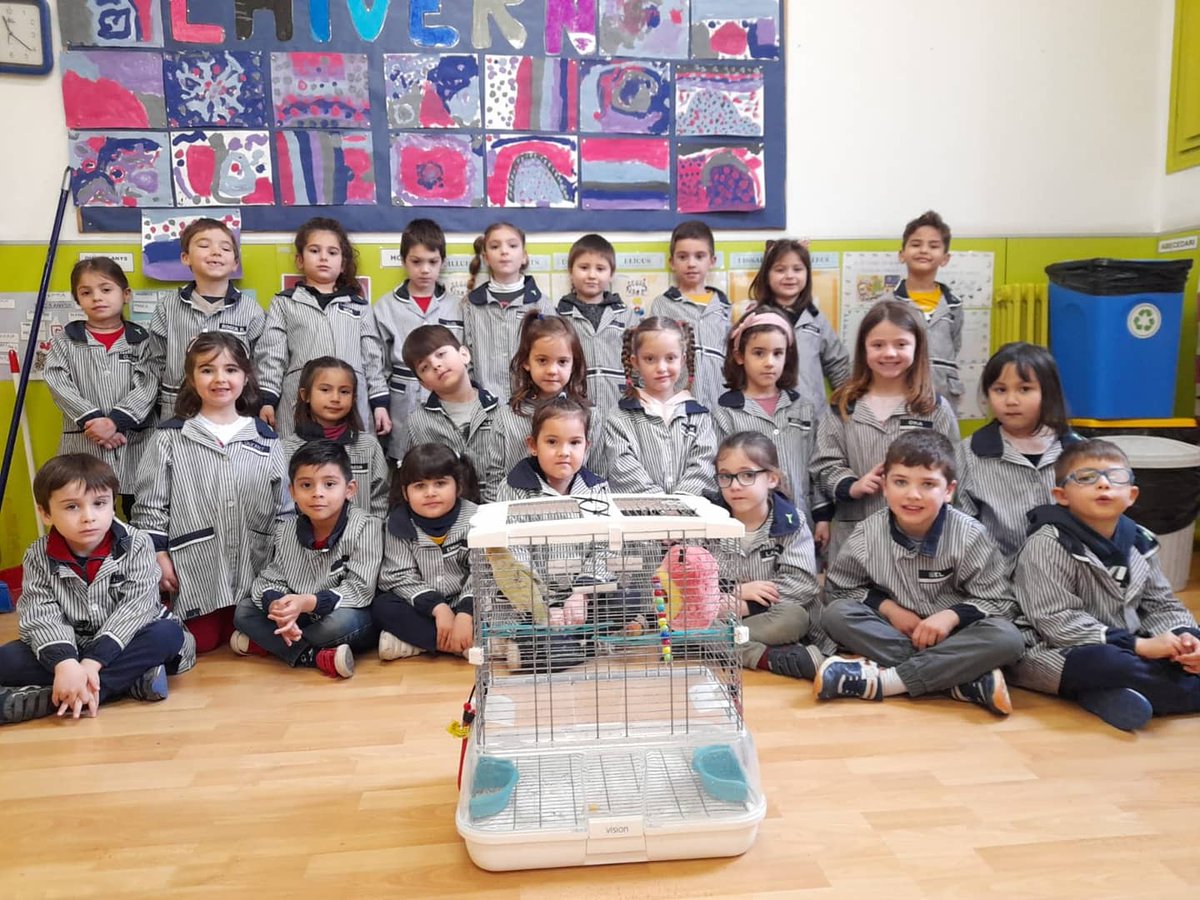 epiasabadell's tweet photo. EL CURRITO ENS VISITA!
A partir d'un conte que ens van explicar a classe, una nena de P5 va tenir la idea de portar-nos el Currito, la seva mascota. Hem pogut observar com és i com tenir-ne cura. Ara ja sabem millor com és un ocell.
#P5INFANTILPIASABADELL
#INFANTILPIASABADELL https://t.co/5bacmVaEy7