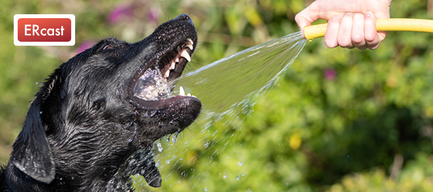 Rob Orman MD | Physician Coach tweet media