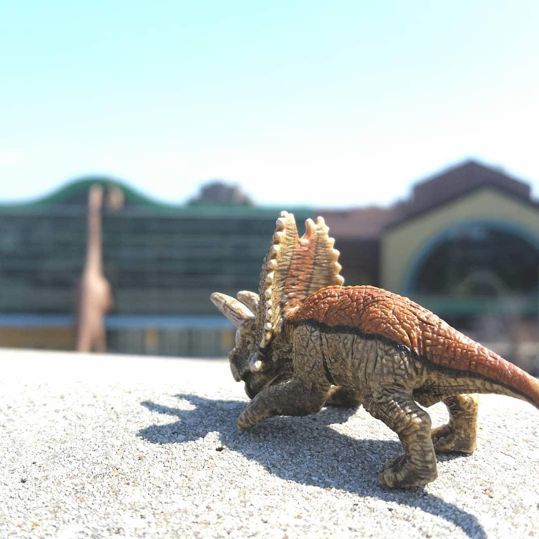 TCMIndy's tweet image. Today is the museum's last CLOSED Monday. We'll be open DAILY starting next week, PLUS the outdoor @rileychildrens Sports Legends Experience re-opens Saturday with even more ways to play on. See you all soon! bit.ly/3rFauqs