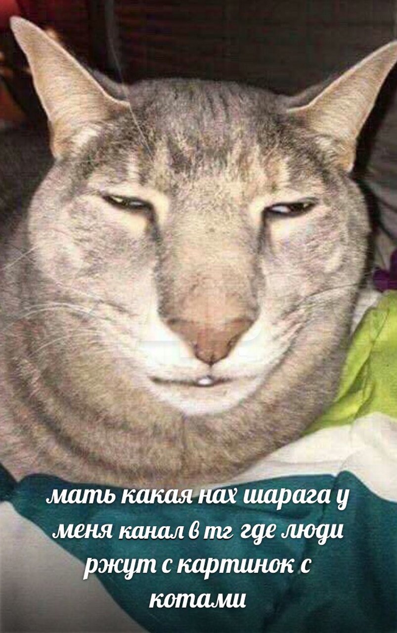 Ev-KMvSXIAEiWYb?format=jpg&name=large