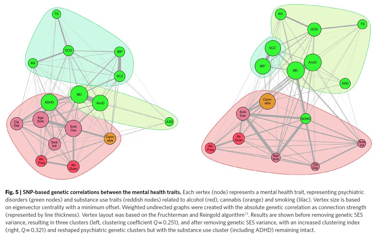 Abdel Abdellaoui (@dr_appie) on Twitter photo Many psychiatric disorders and substance use outcomes share genetic effects. Controlling for genes associated with socio-economic outcomes changes the genetic relationships between these mental health outcomes. Our paper just out in <a href="/NatureHumBehav/">Nature Human Behaviour</a> 🧬💸🧠
nature.com/articles/s4156… Many psychiatric disorders and substance use outcomes share genetic effects. Controlling for genes associated with socio-economic outcomes changes the genetic relationships between these mental health outcomes. Our paper just out in <a href="/NatureHumBehav/">Nature Human Behaviour</a> 🧬💸🧠
nature.com/articles/s4156…