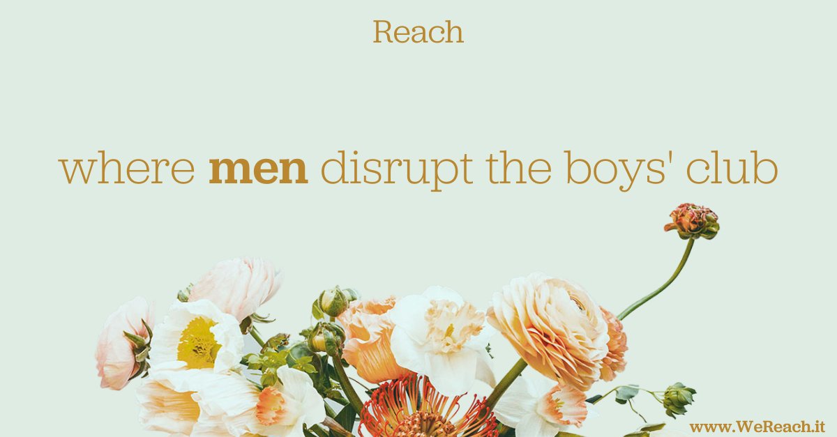 Adam Mico tweet media