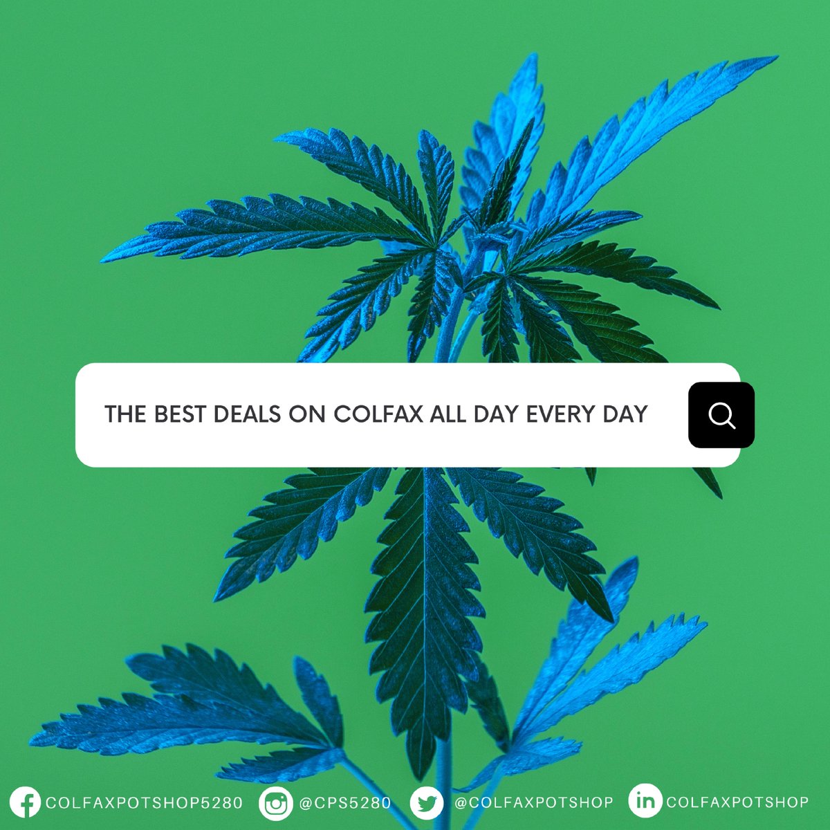 colfaxpotshop's tweet photo. Looking for the best deals? Drop by our store and you won't regret it.
๐ Check out our website for our exact location and to start your order.
#denverweedcommunity #cannabiscommunity #cannabissociety #wheresweed #denver #denverdispensary #qualitycannabisย
#cannabiscommunit... https://t.co/HJBbvCqHbI