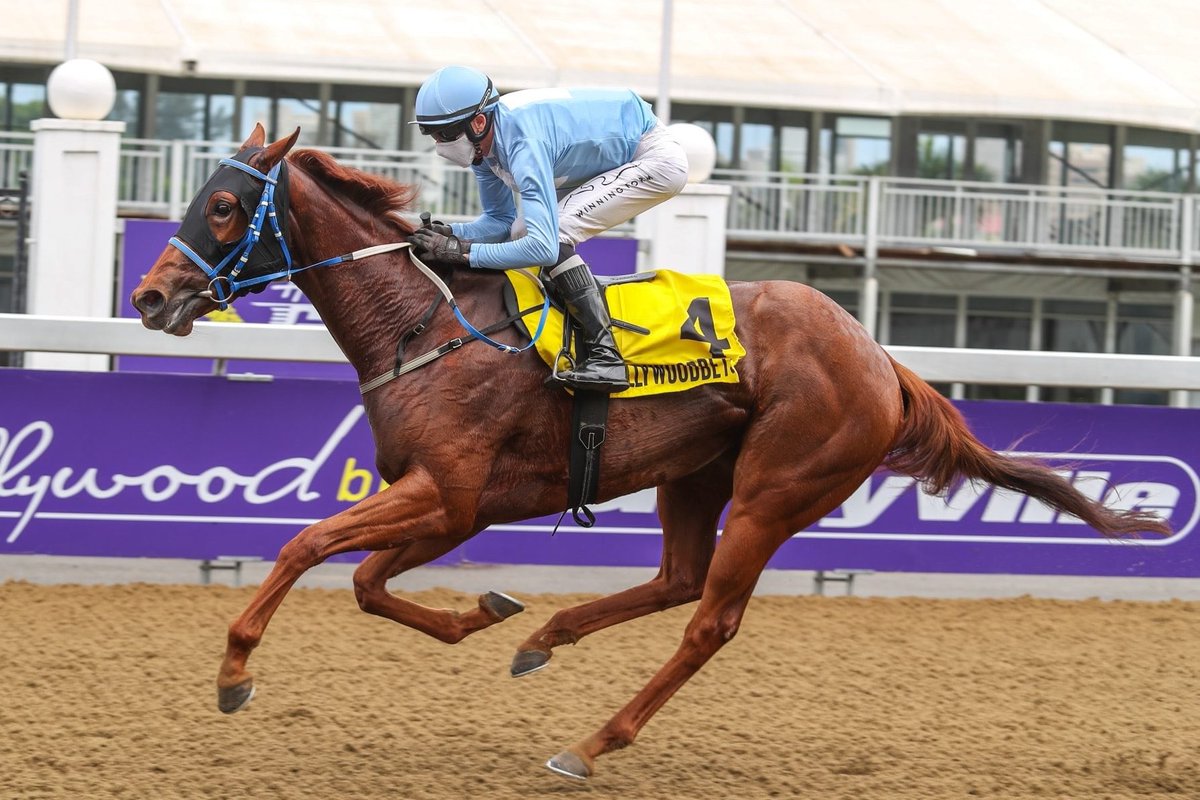 We have 3 fillies in training on offer in the <a href="/BloodstockSA1/">Bloodstock SA</a> March Online sale equineonlinesales.co.za
Lot 26 Dark Travel
Lot 27 Opera Swing
Lot 28 State Of Mind
Bidding closes on 10 March at 12pm