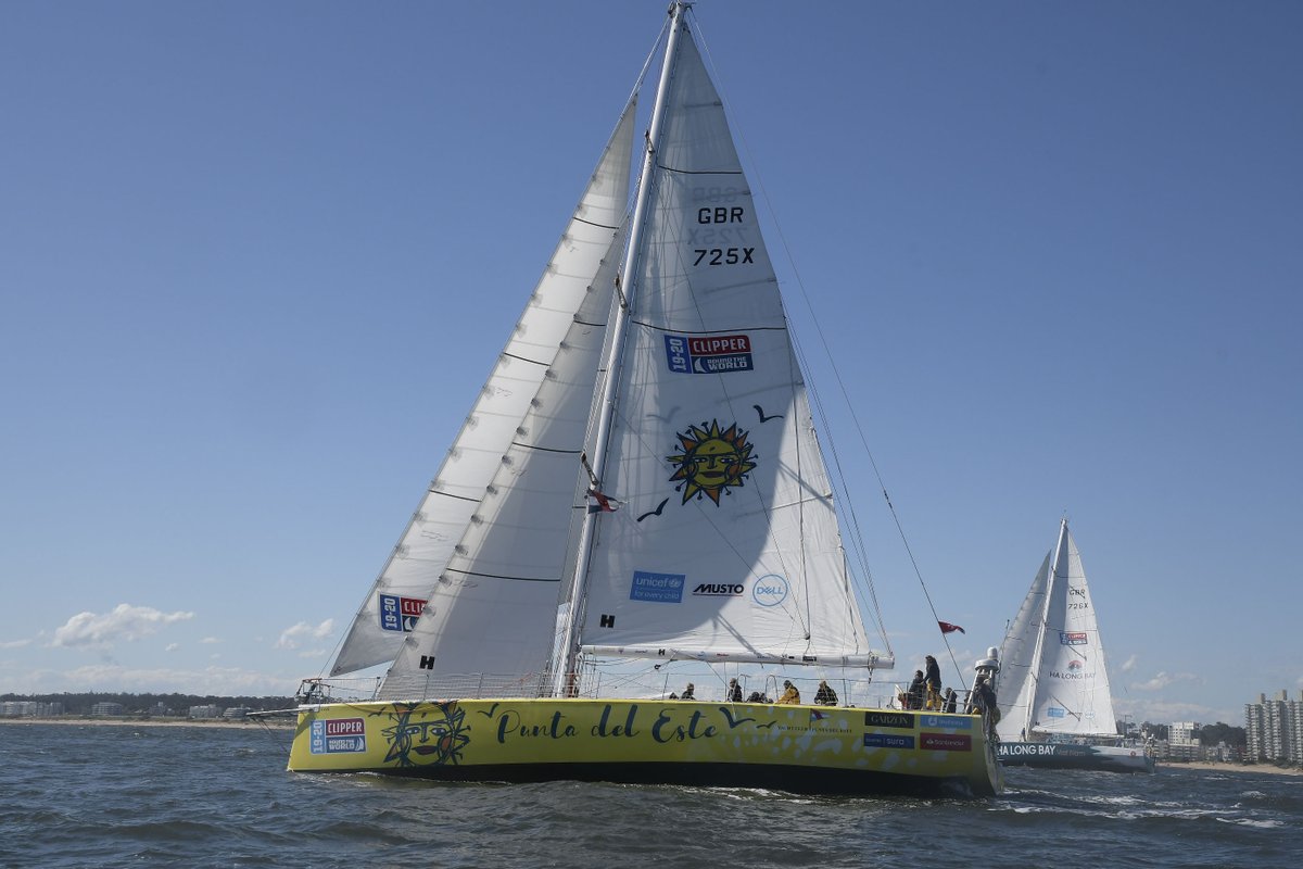 Clipper Round the World Yacht Race tweet media