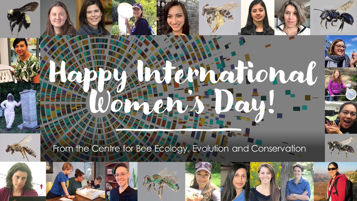 BeesYork's tweet image. Today is #InternationalWomensDay and we want to celebrate the women who contribute to pollinator research, and conservation! Here are just a few of the inspiring women that work with the Centre for Bee Ecology, Evolution and Conservation! #IWDatYU