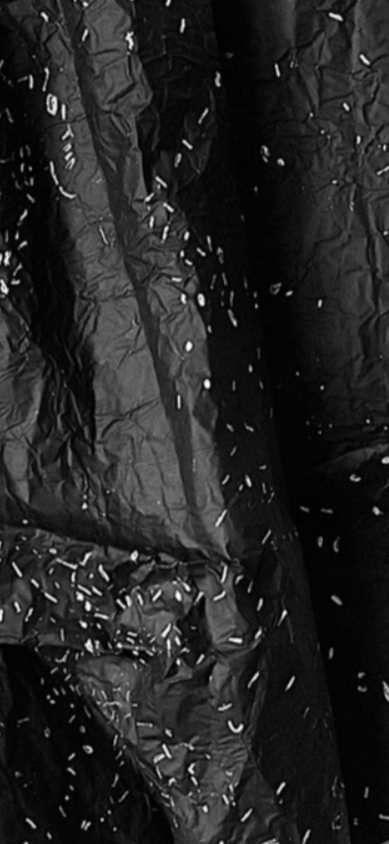 kellycumberland's tweet photo. Working on a new series of drawings: Vestigium Pulvis [ffoyle v2.2], Aluminium cinefoil, carbon. 2021  #drawingresearch #exhibition #expandeddrawing #art #research #contemporaryart #kellycumberland #leedsartsuniversity @LAUresearchdept https://t.co/FwrM6cuEZH