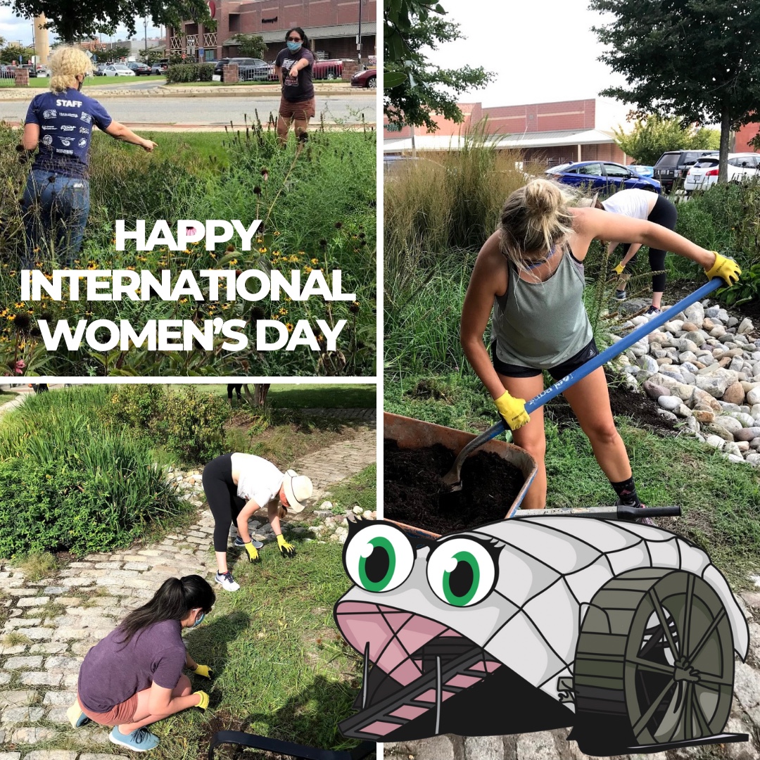 ProfessorTrashWheel tweet media