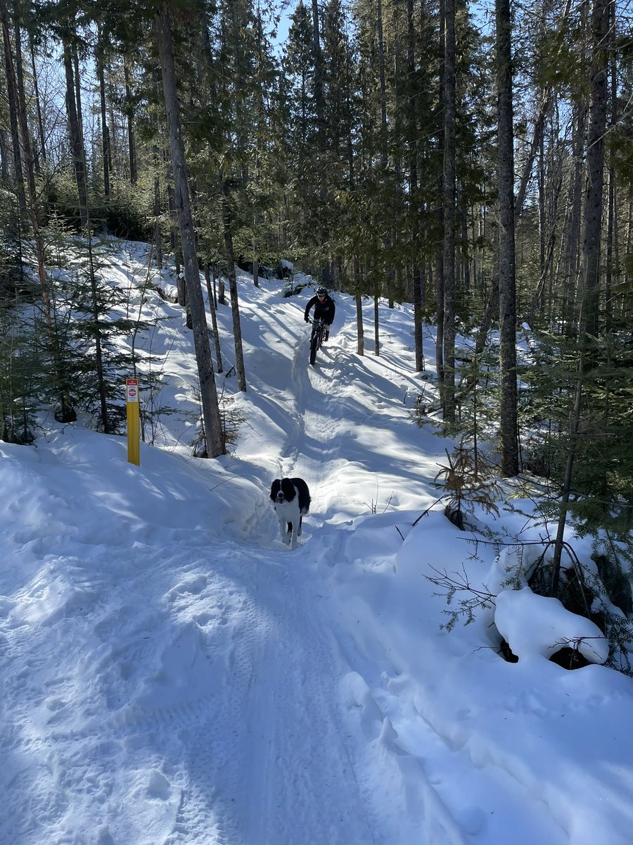 rower1x's tweet photo. @cdncyclist @JefferySchiller @FreshAirTBay Awesome weather for early morning fat biking.  Get on there while the trails are tight! https://t.co/rw7Fg9UunG