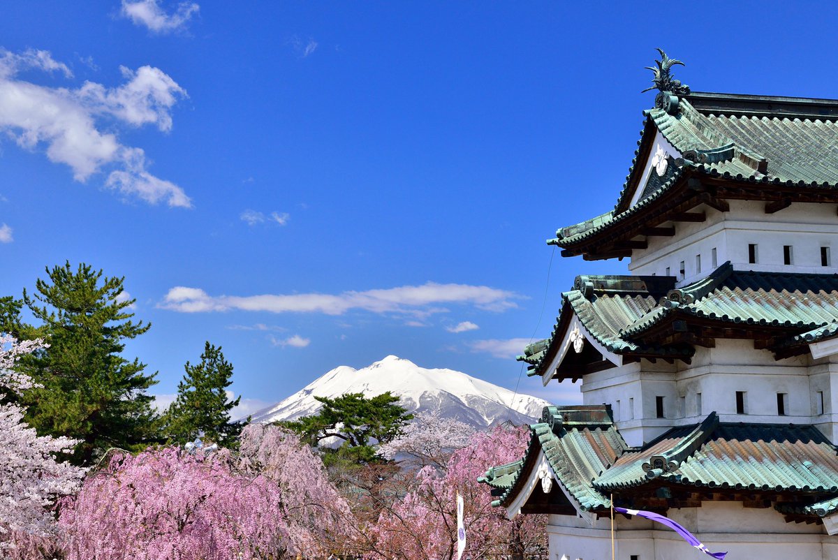 Visit Japan tweet media