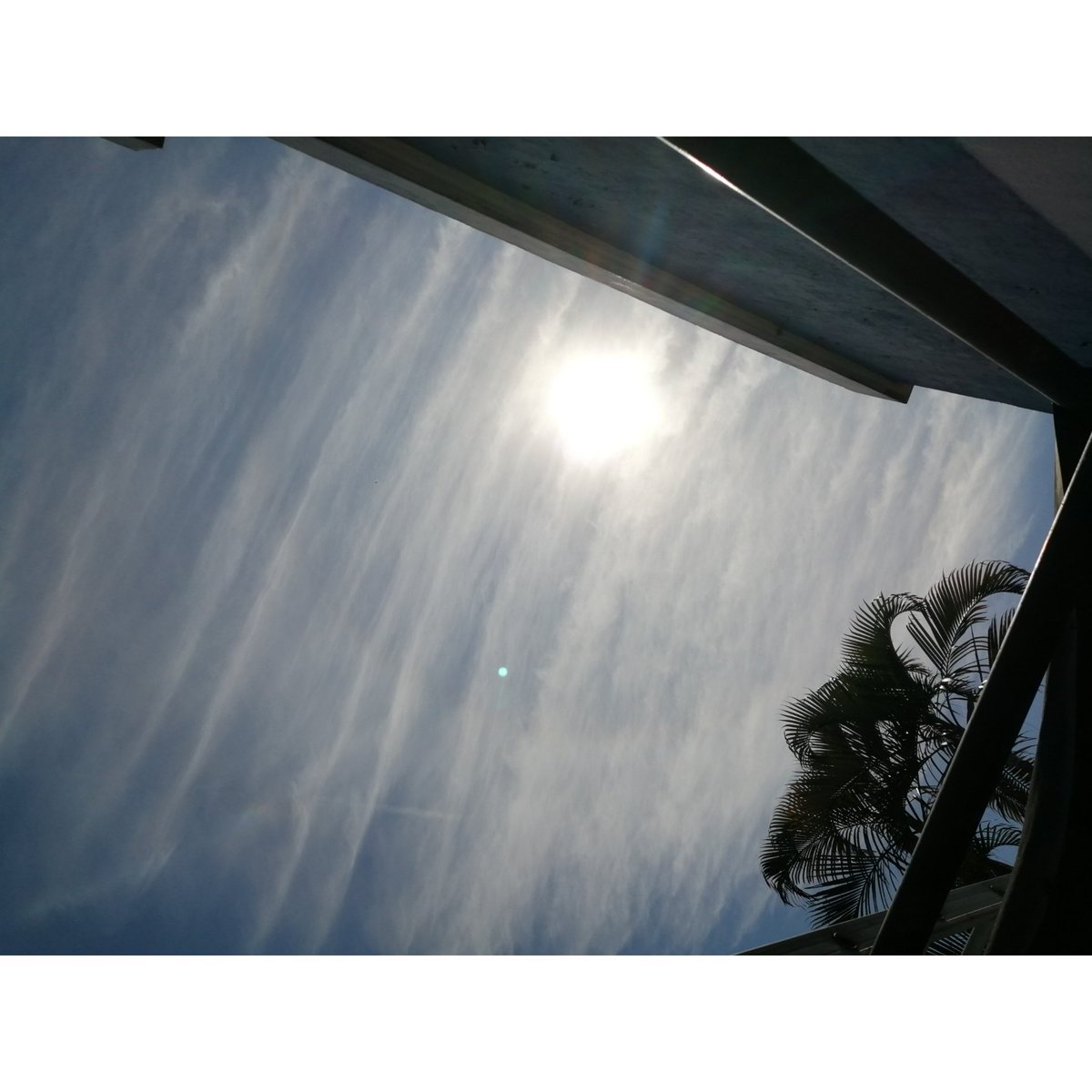 00_MFS7's tweet photo. 🖤
#photo #photography #foto #fotografia #landscape #paisaje #landscapephotography #clouds #nubes #cielo #sky #mexico #arcoiris #rainbow #nature #naturaleza #멕시코 #사진 #포토 #포토그래퍼 #포토그라피 #풍경 #풍경사진 #하늘 #구름 #arosolar #solarring https://t.co/vp54DSBCz3