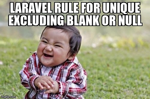 overflow_meme's tweet image. Laravel rule for unique excluding blank or null stackoverflow.com/questions/3079… #php #laravel #laravelvalidation