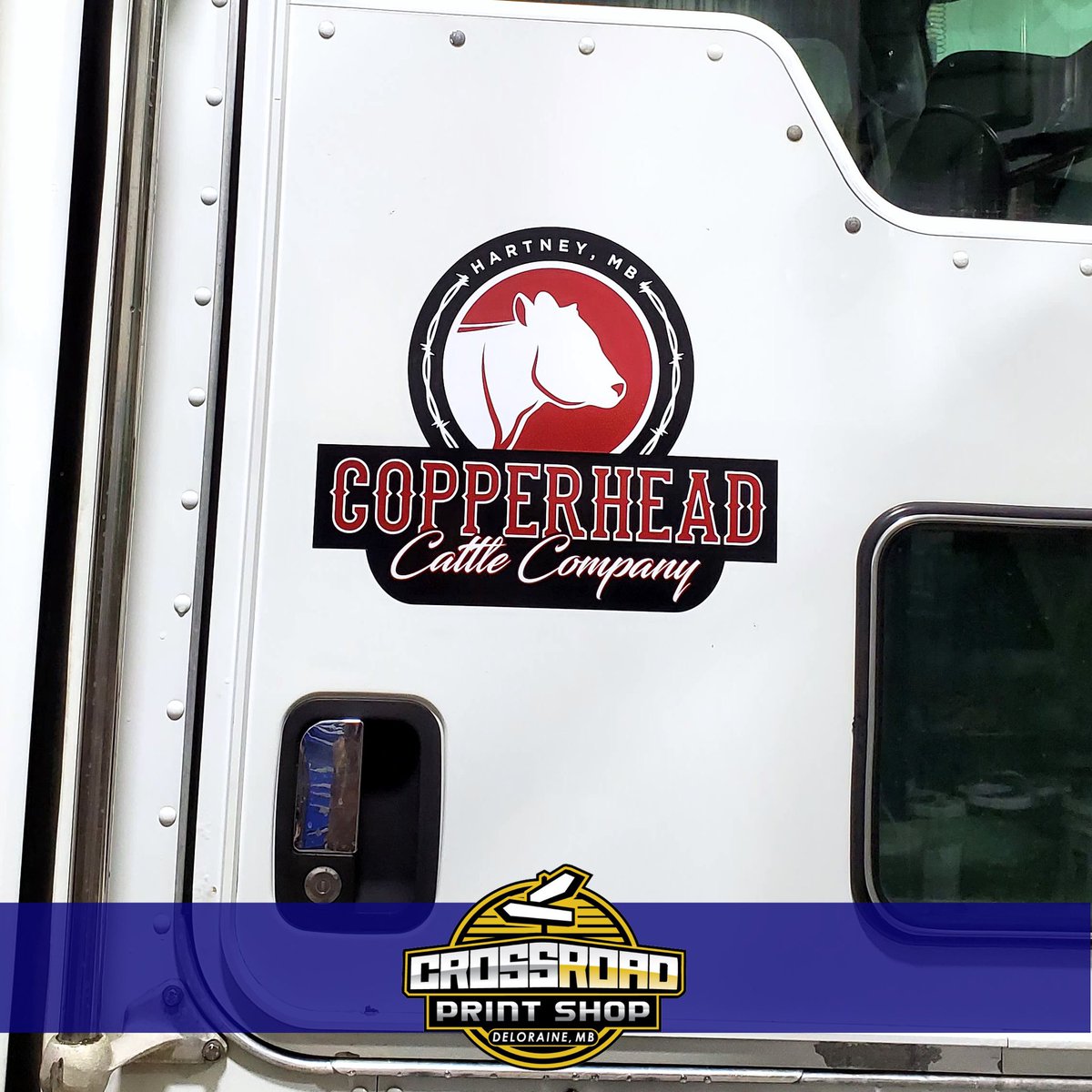 Logo options and decal package for Copperhead Cattle Company. Thanks for letting us help develop your brand! 

#CPS #graphicdesign #digitalprinting #decals #logodesign