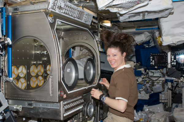 NASA Science tweet media