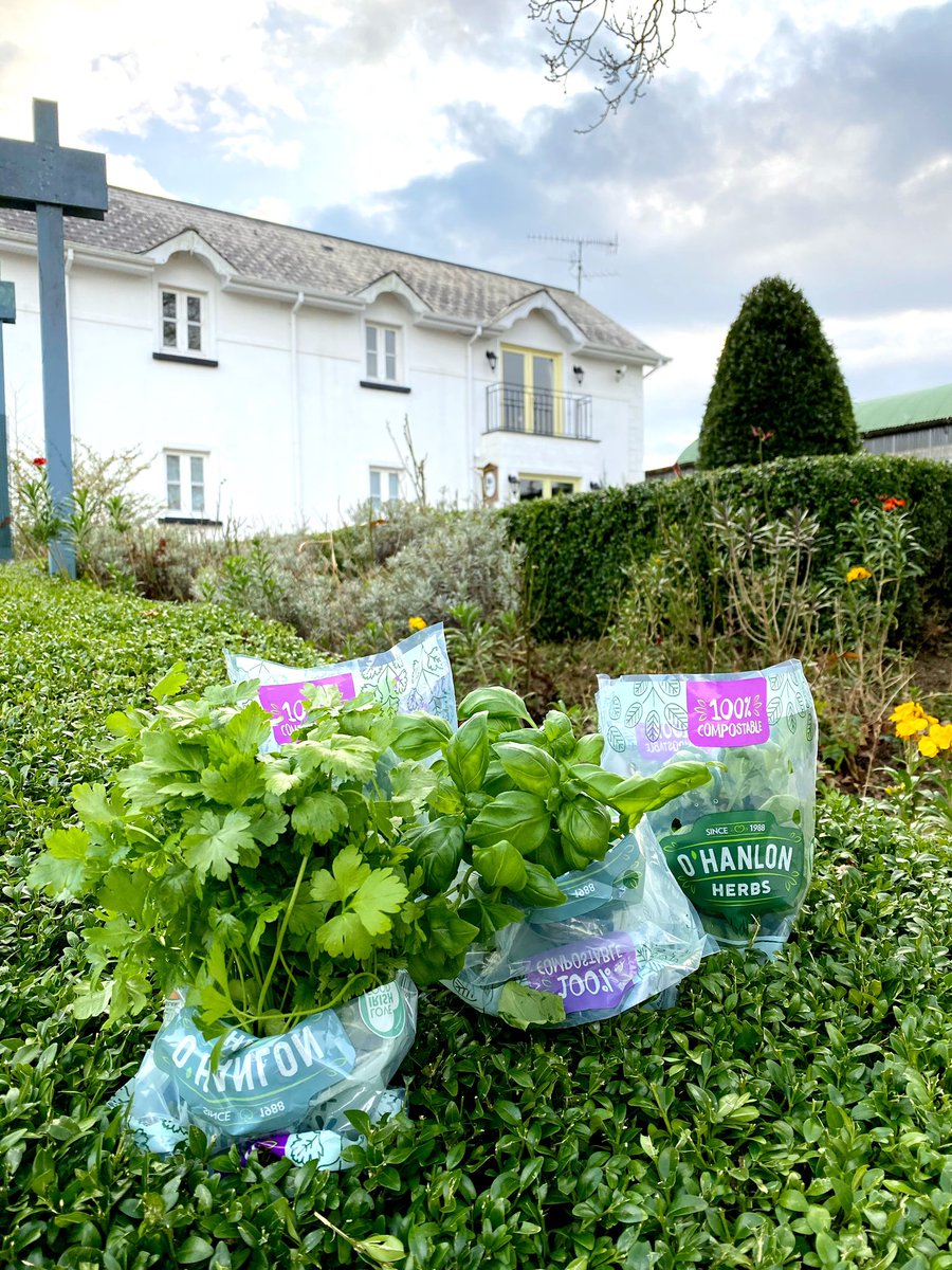 Catherine Fulvio tweet media