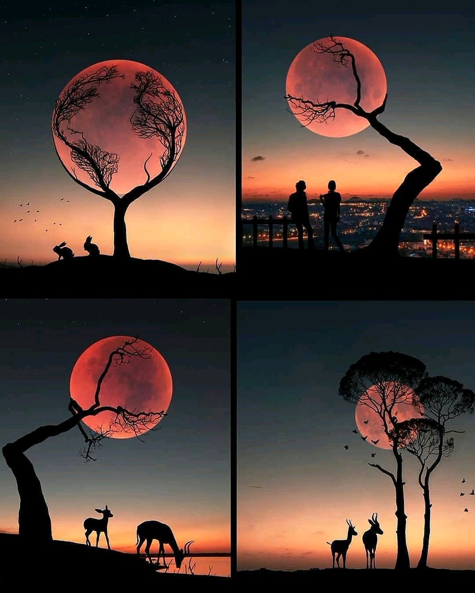 fascinating moments🧿
#travel